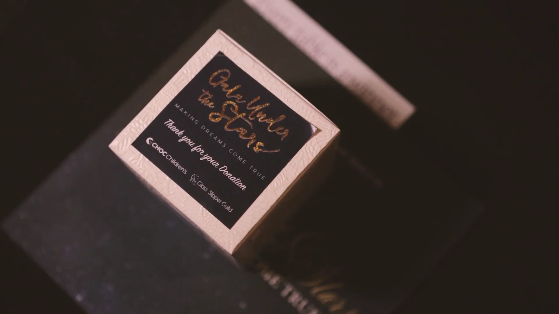 Gala under the Stars Glass Slipper Guild 2017 CHOC Island Hotel