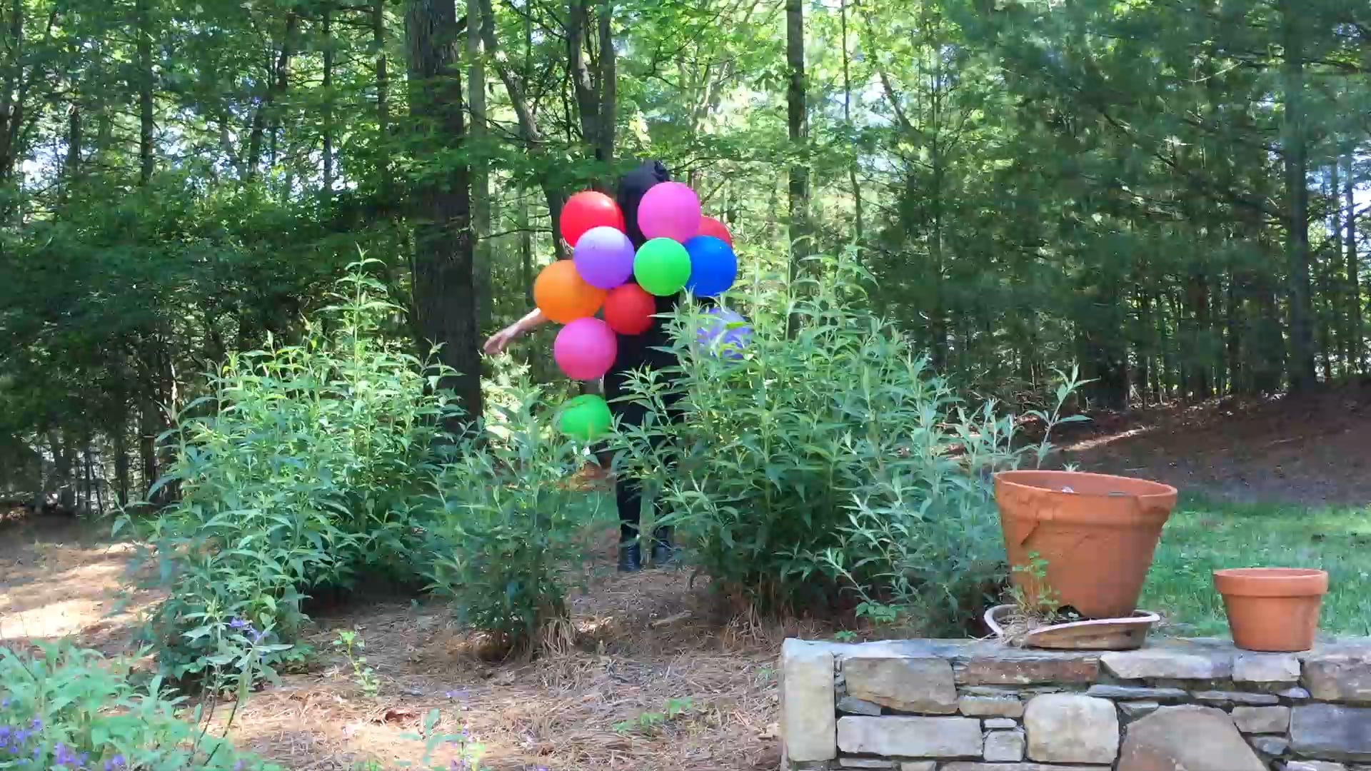 How to Become a Christmas Tree (excerpts) 2015