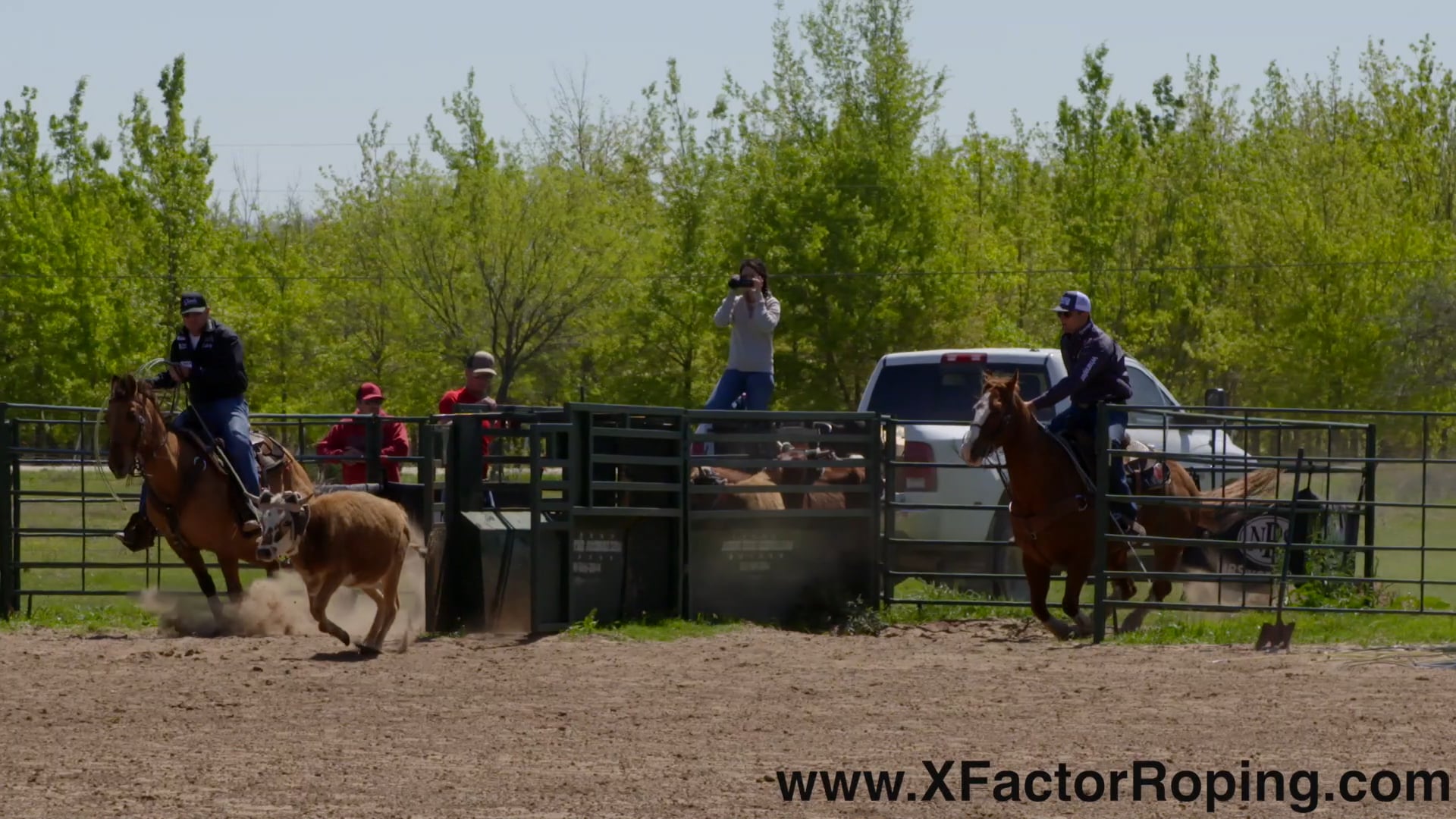 Handling Cattle with DUSTIN EGUSQUIZA FREE