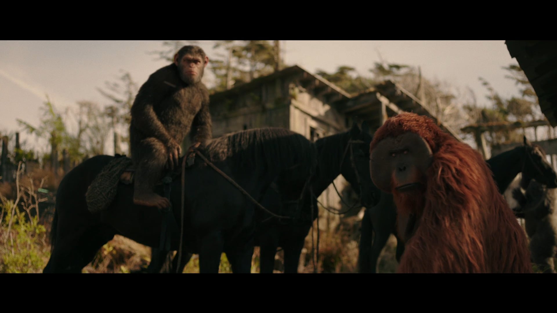 War for the Planet of the Apes - Trailer