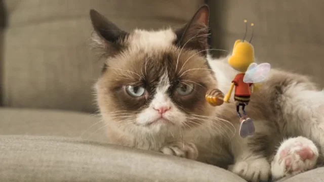 Grumpy Cat X Honey Nut Cheerios™