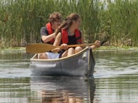 浮力背心 (PFD) 式样