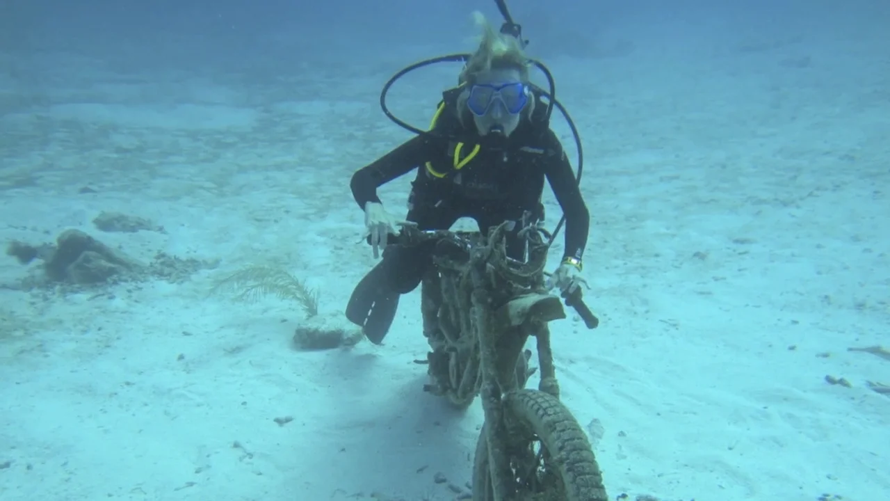 akumal_and_cozumel__october_2012_1280x720 on Vimeo