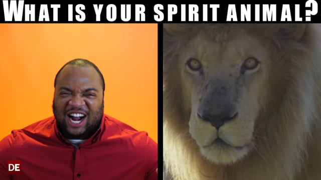 VIDEO: What Is Your Spirit Animal? • DirectEmployers Association
