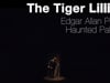 Le Palais hanté de Edgar Allan Poe :The Tiger Lillies