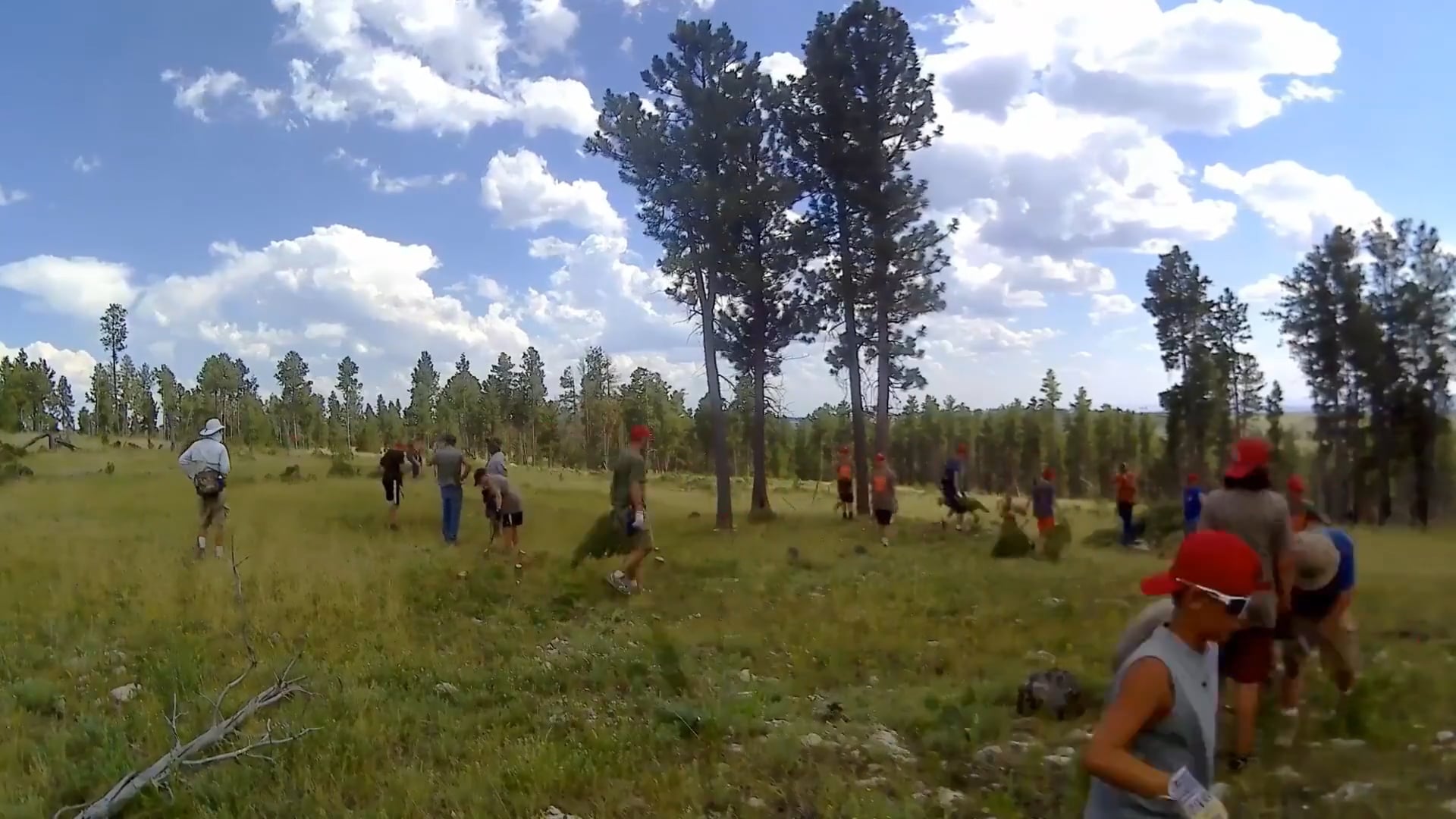 Service Project Timelapse