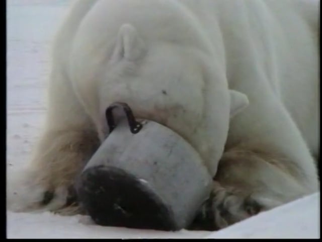 Svalbard 78 Lat. N.
