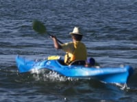 水上游乐 (第1节)