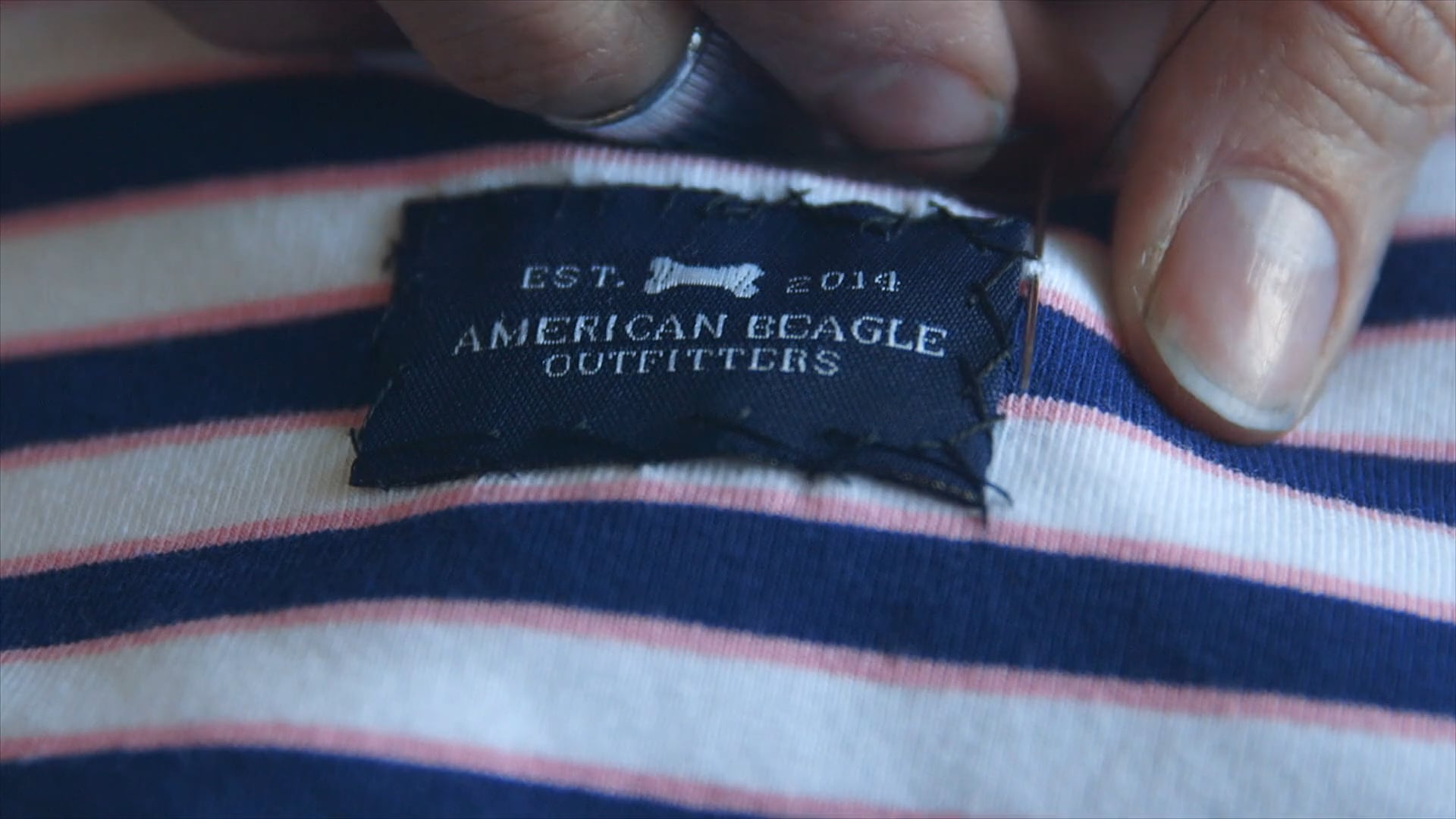 American Beagle - Director's Cut