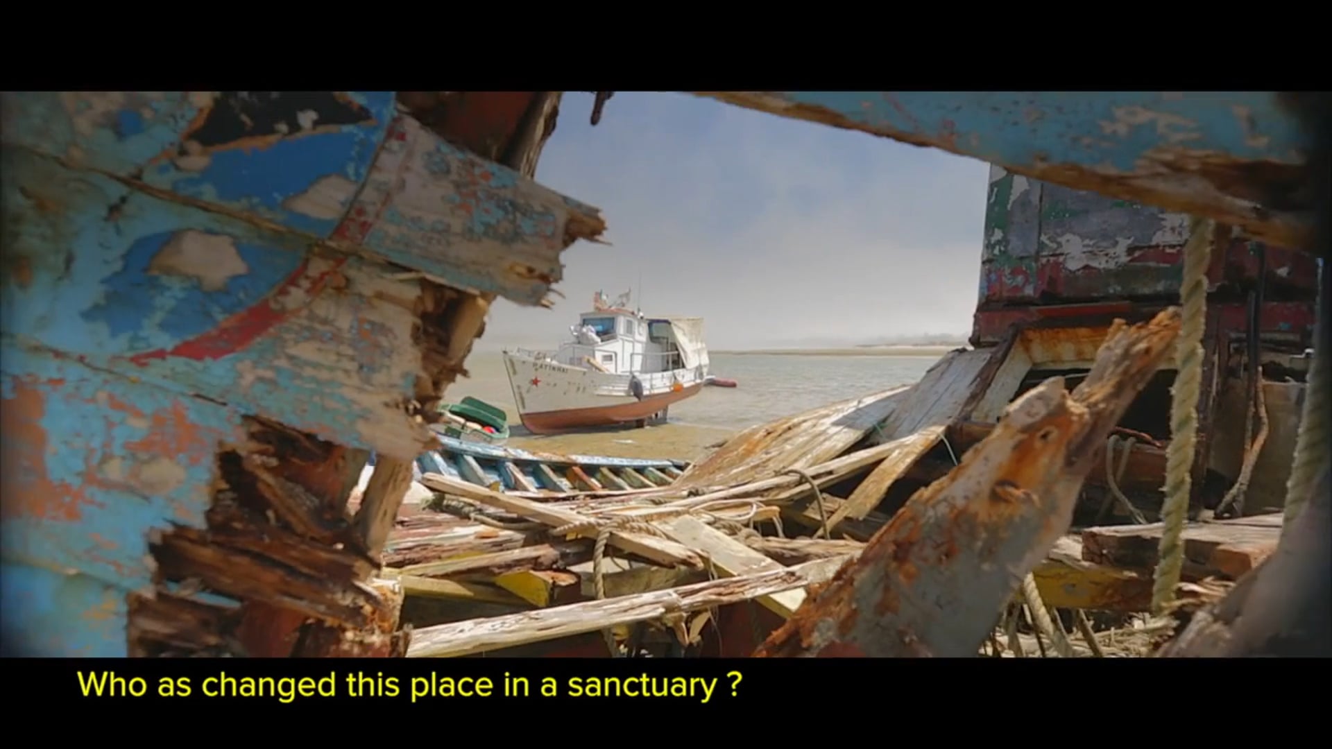 Documentary