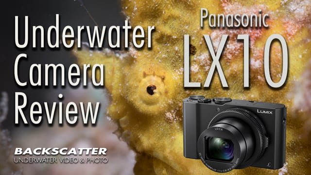 Panasonic LX10 - Underwater Camera Review