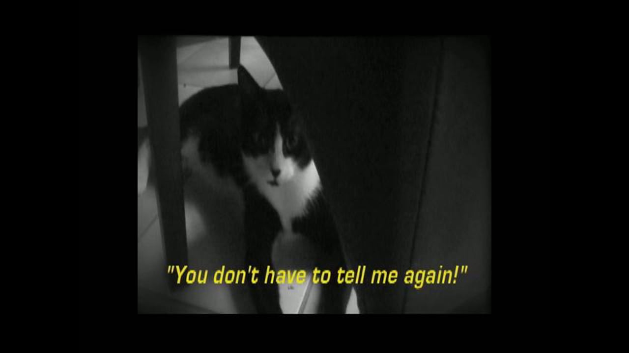 Cats of Wonder…: middle scene