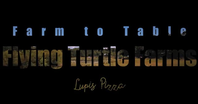 Lupi's Pizza Pies - Customer Success Story