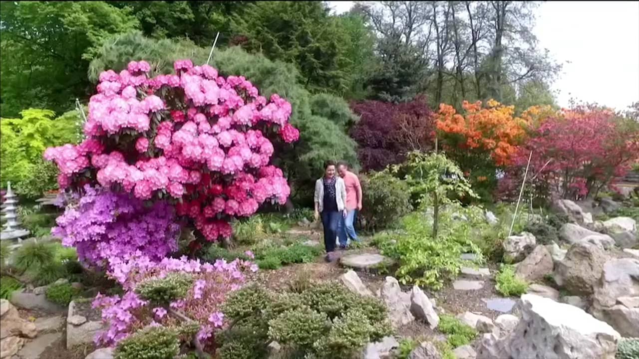 Claudia LookHirnschal zu Besuch bei Kohout's (MDRGarten vom 16 Juli