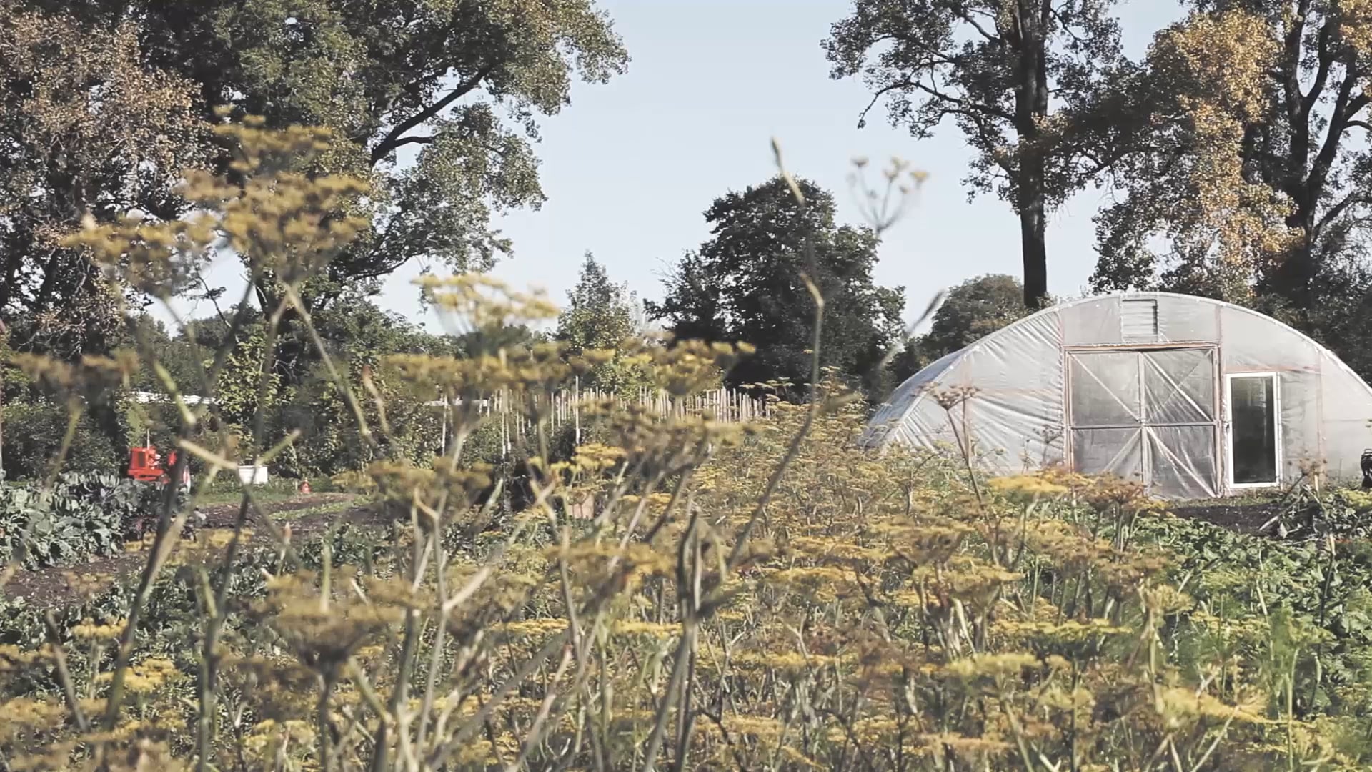 Illinois Tourism - Epiphany Farms