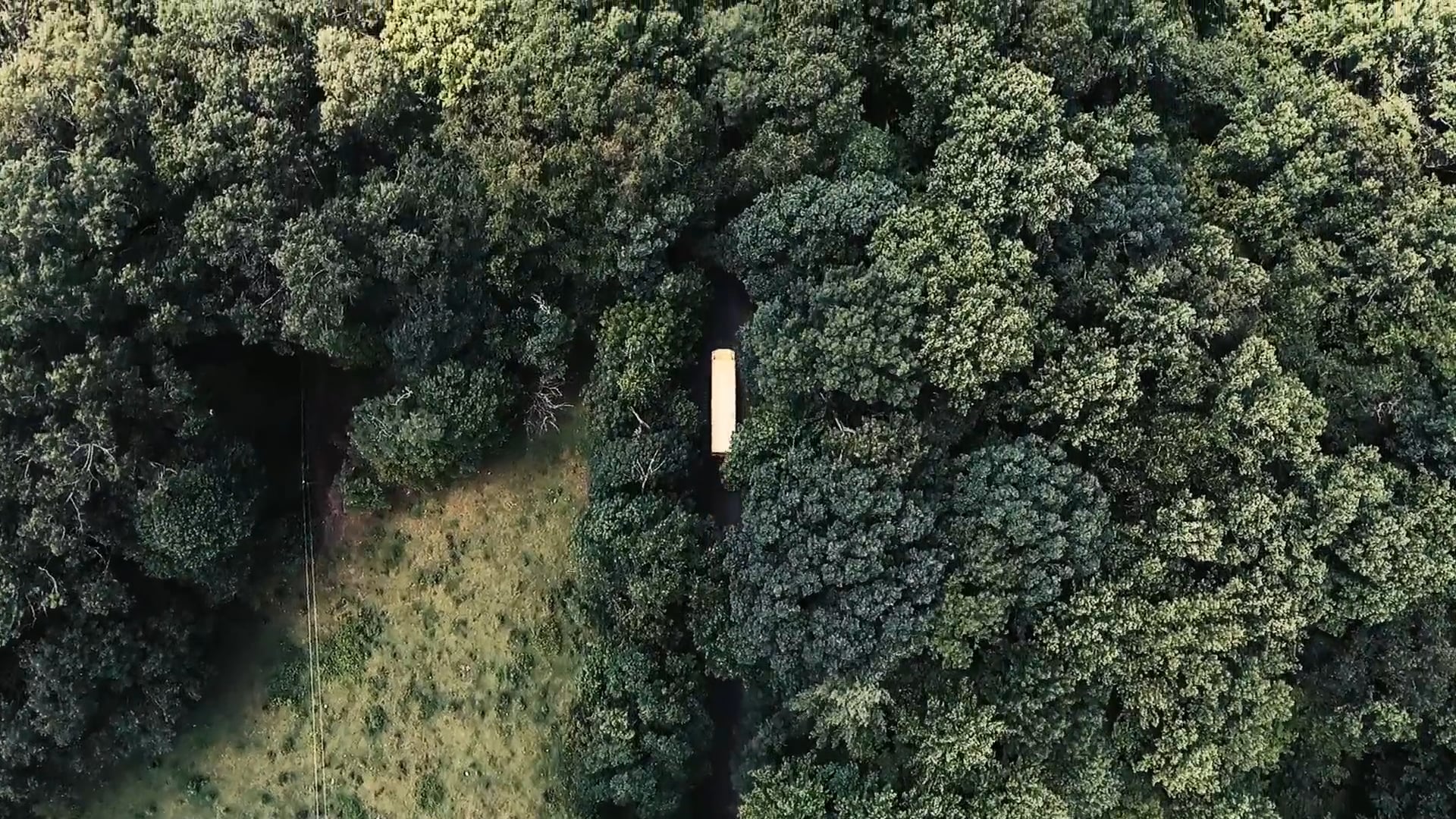 Promotional video thumbnail 1 for Relly Moorer