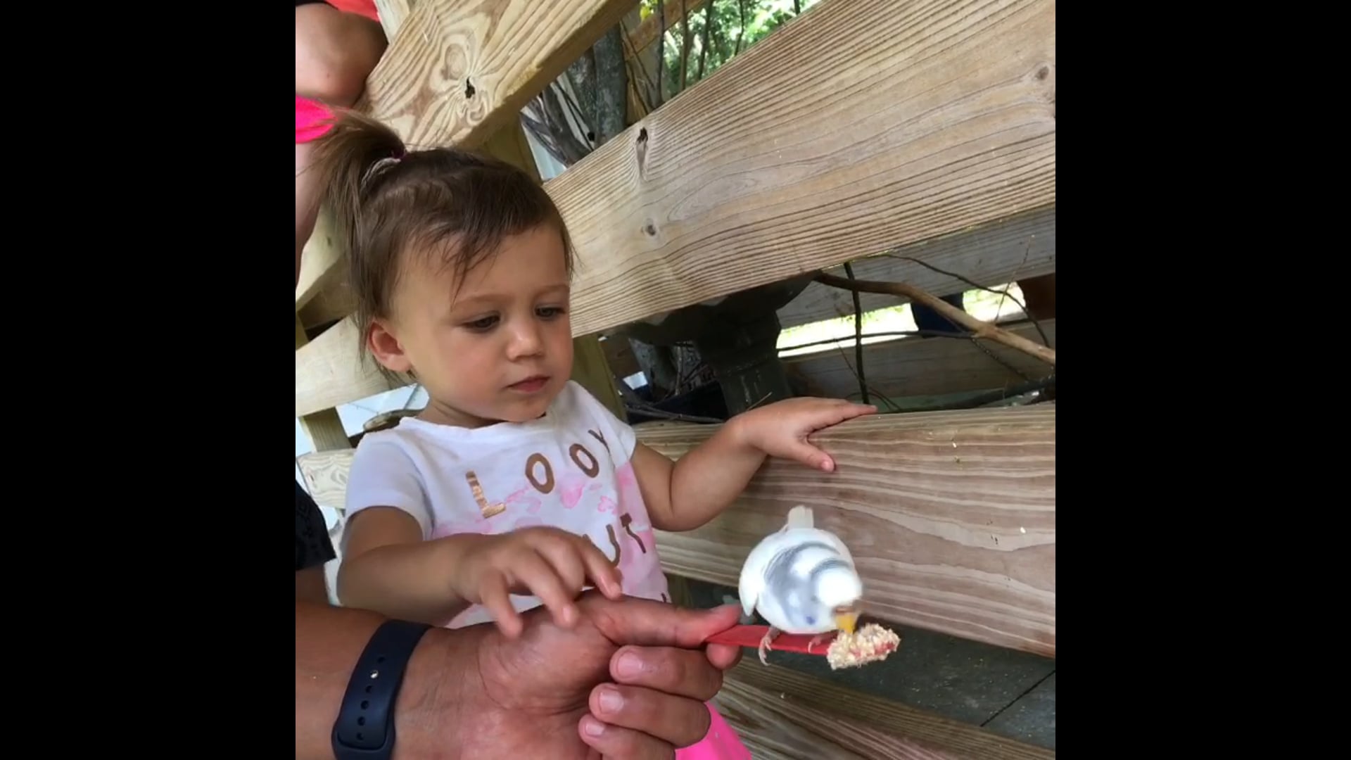 Her favorite animal!