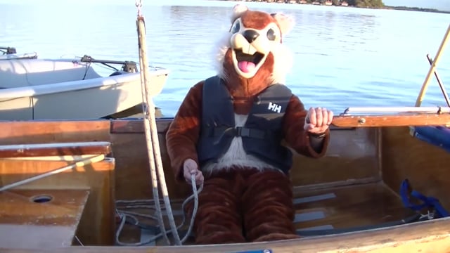 Nibble exercise 1: Watching and steering (mooring, tack gate, mooring)