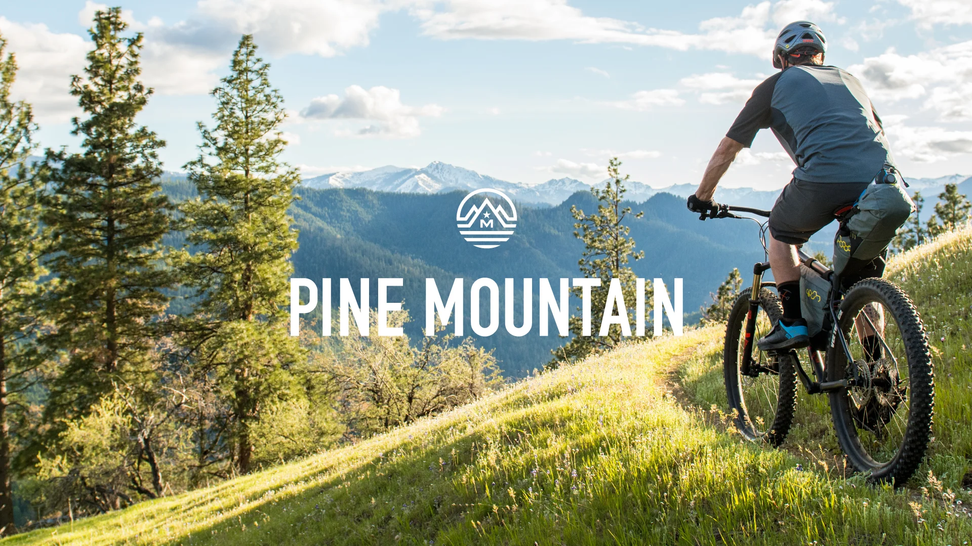 値下 新品同様 MARIN2019年モデル PINE MOUNTAIN