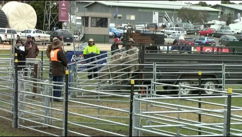 Kevin Howell with Ripper - Aust Championship on Vimeo