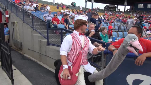 Matt Jackson, as The Crazy Hot Dog Vendor.The Reading Fightin