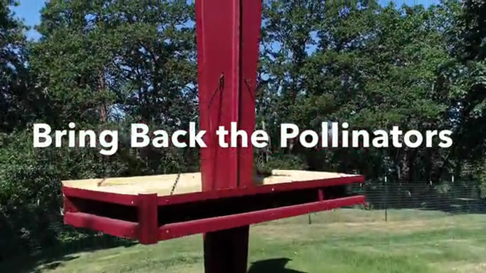 Bring Back The Pollinators