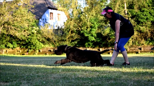 Valise Personnalisée Schnauzer Géant – Dyefor