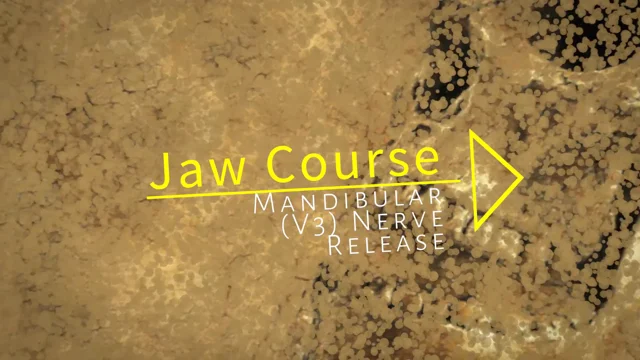 Mastication LO - Mandibular Nerve 