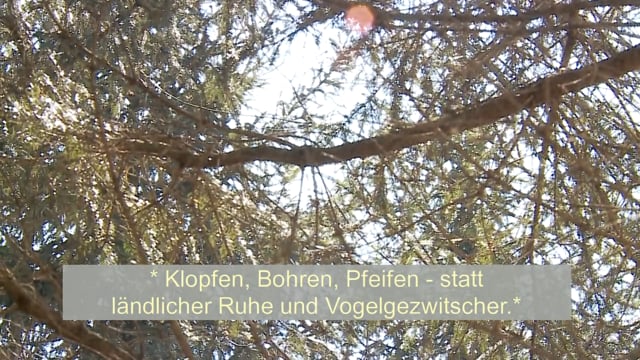 Ohrstörung – Was hilft gegen Tinnitus? (UT)