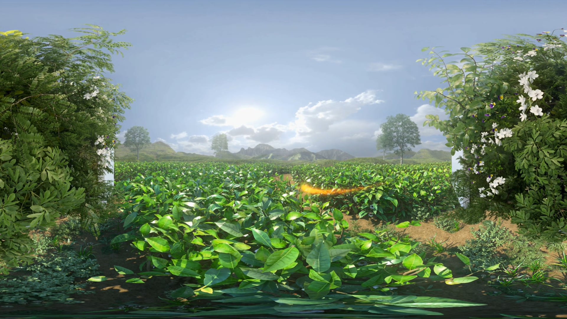 Innisfree VR 3D