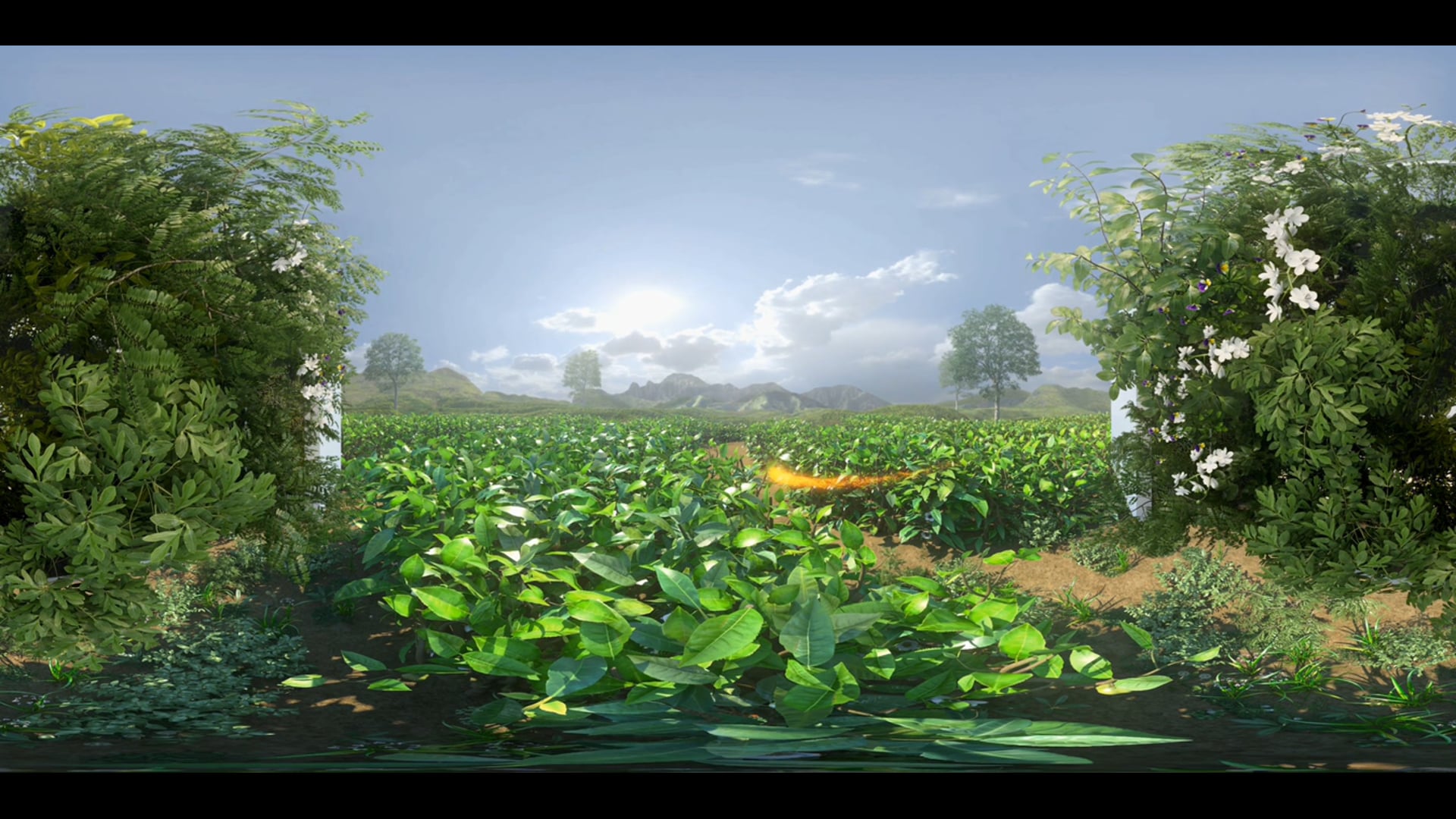 Innisfree VR 3D