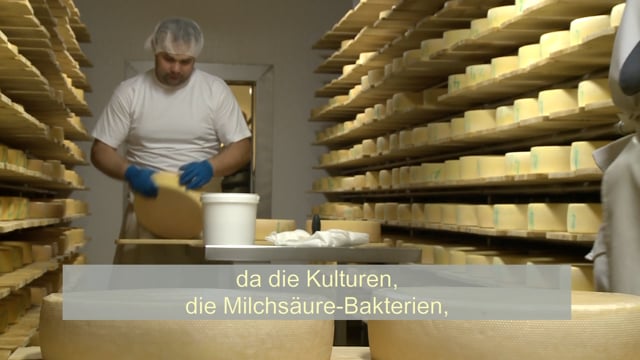 Wenn Milch weh tut – Laktoseunverträglichkeit (UT)