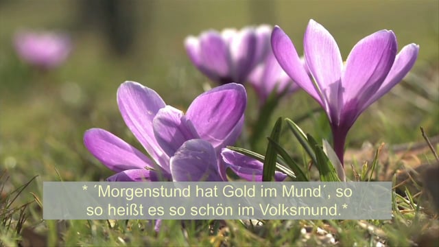 Welche Matratze tut dem Rücken gut? (UT)