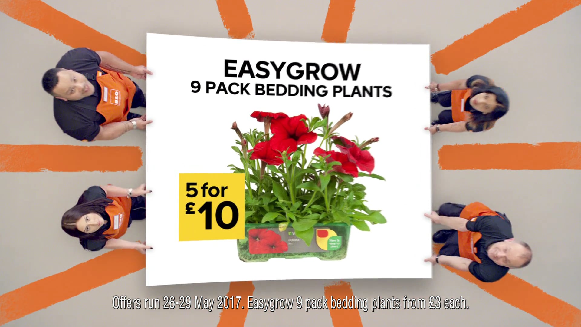 B&Q Summer TVC secs