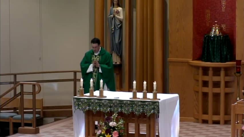 16th Sunday in Ordinary Time - July 22, 2017 on Vimeo