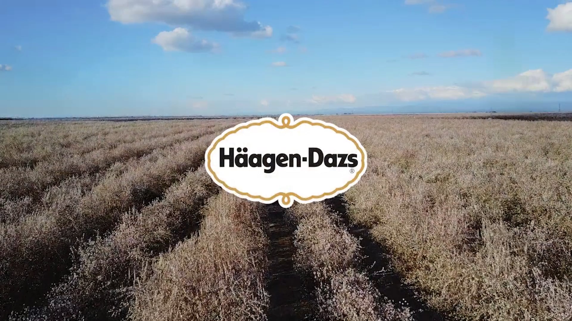 HaagenDazs - 4 Things Bees Need