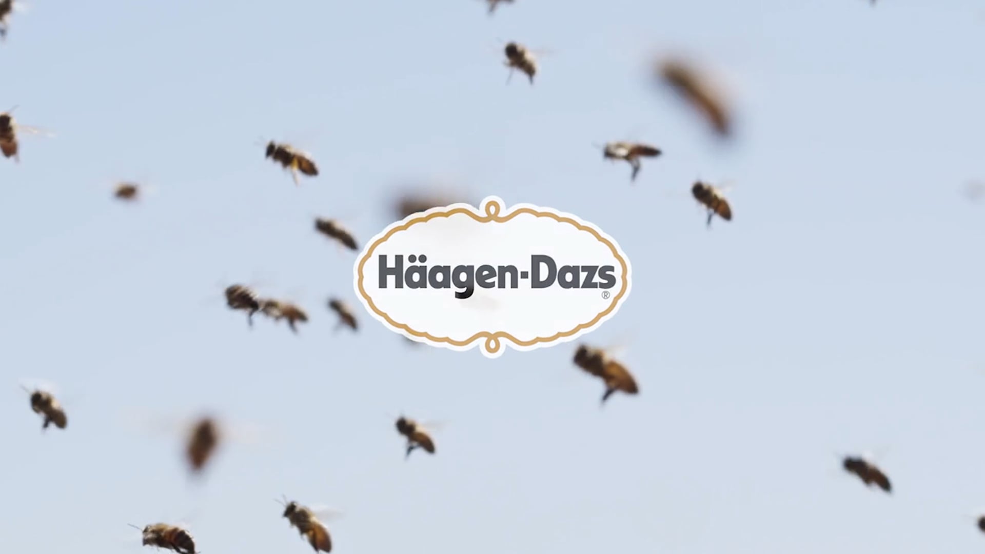 HaagenDazs - Pollination