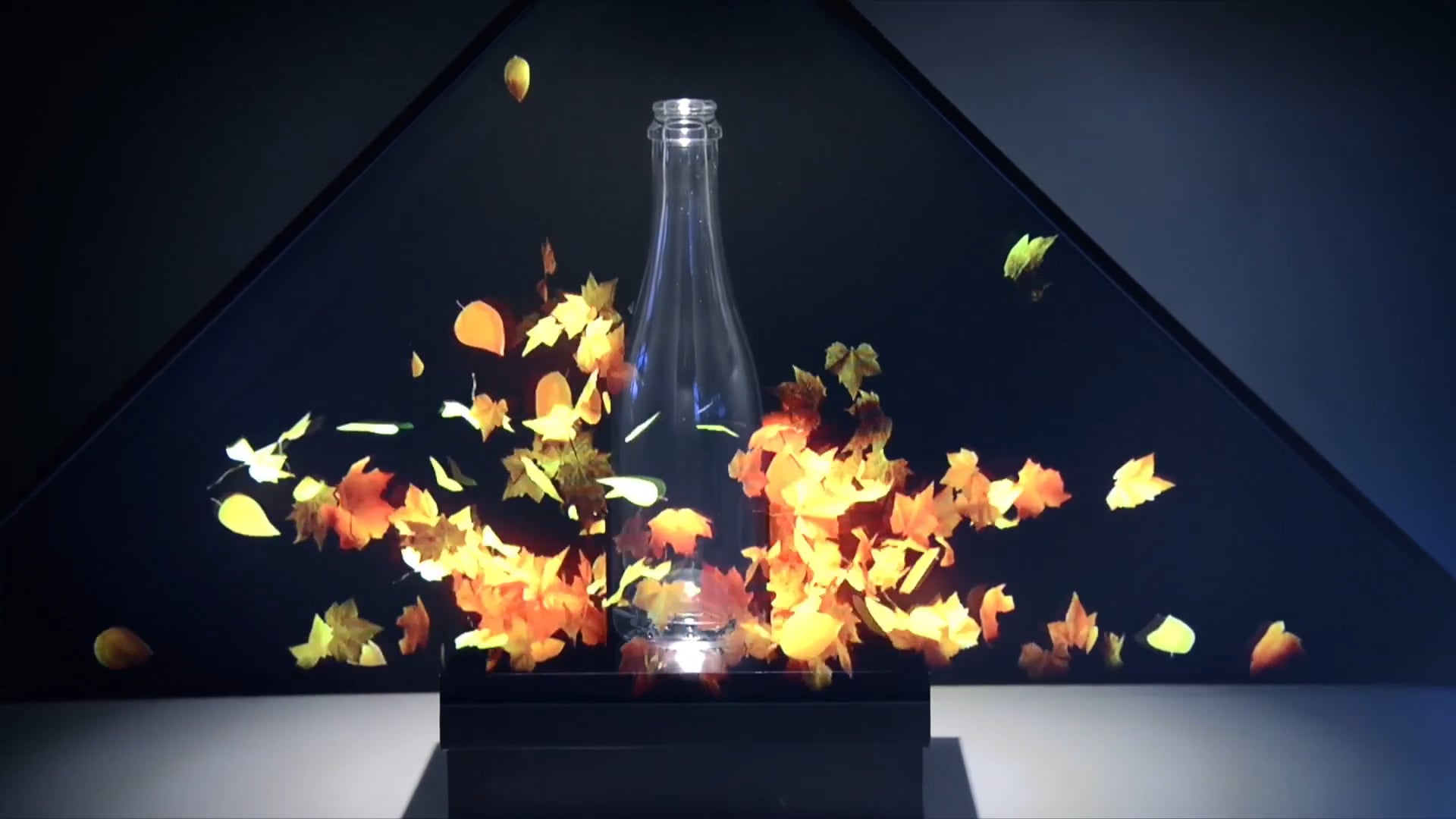 Animajor Studios - Deco Glass Animation