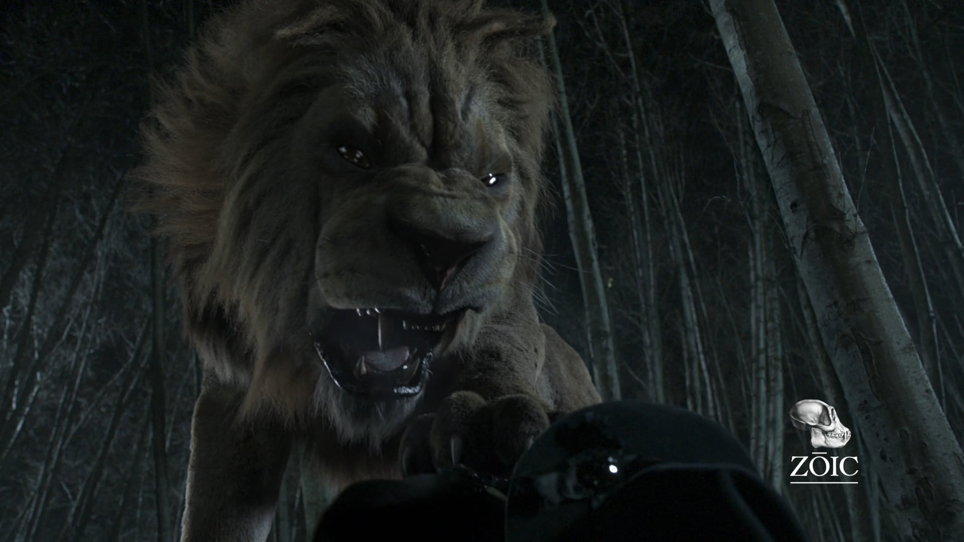 2017 OA Creatures reel