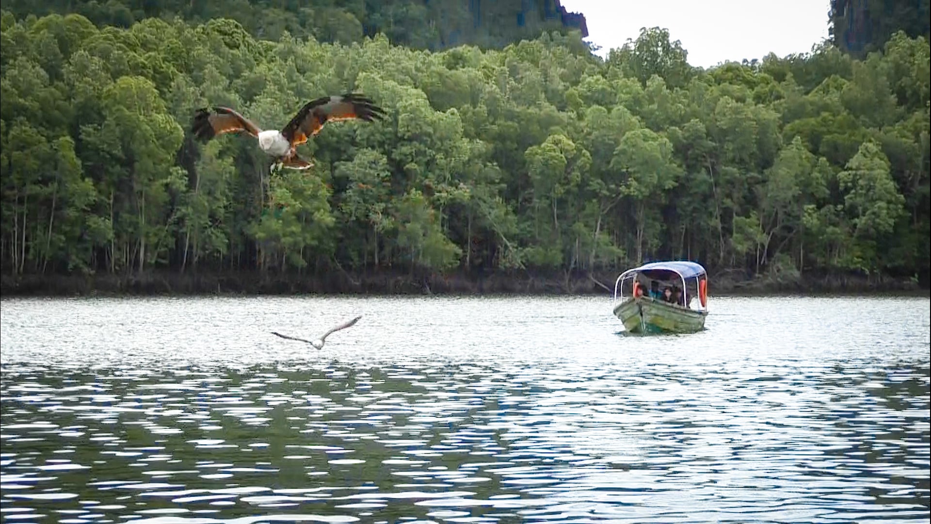 KILIM GEOFOREST PARK