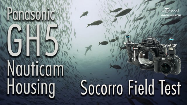 Panasonic GH5 & Nauticam Housing - Underwater Camera Review by Adil Schindler for Backscatter