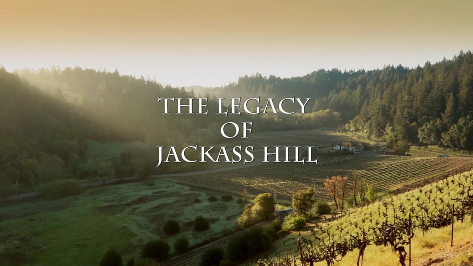 The Legacy of Jackass Hill - Wine Spectator Grand Prize Winner 2015