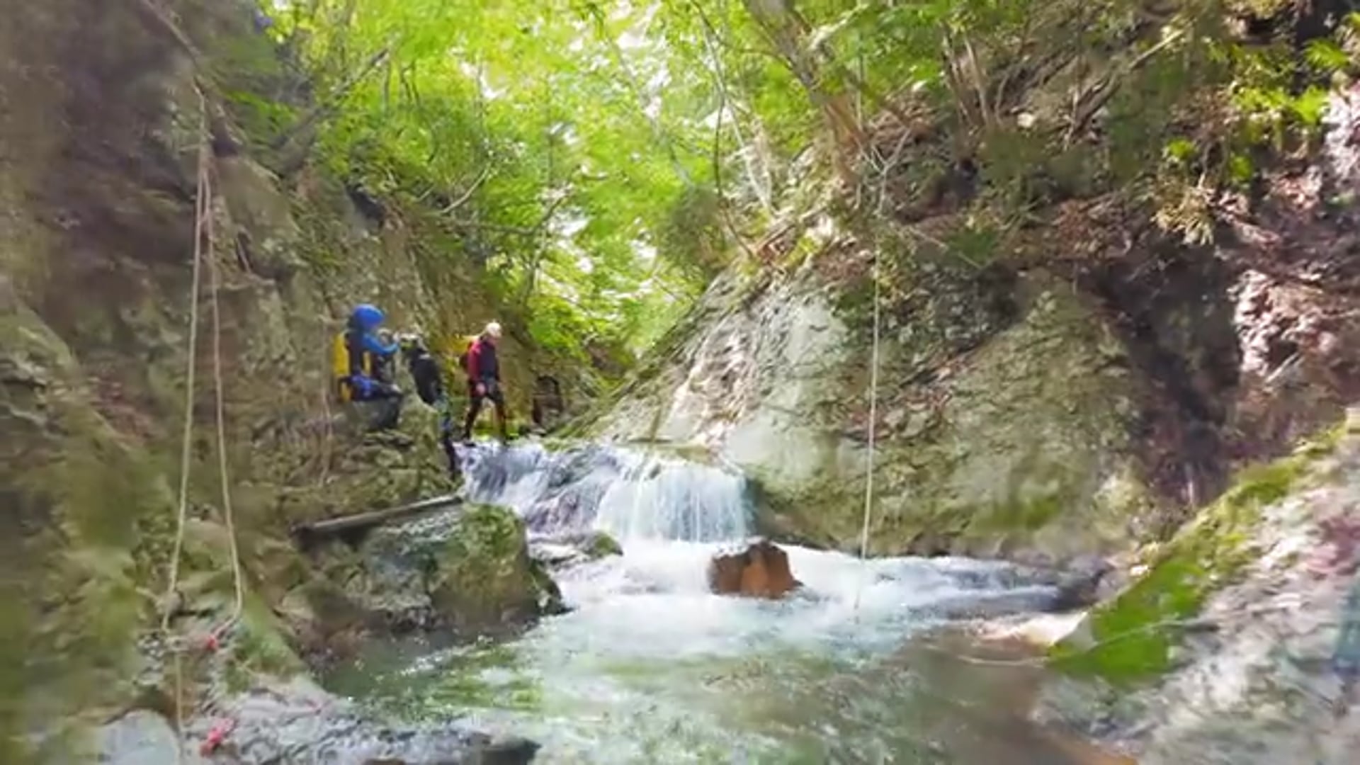 Refresh Trip (Producer)