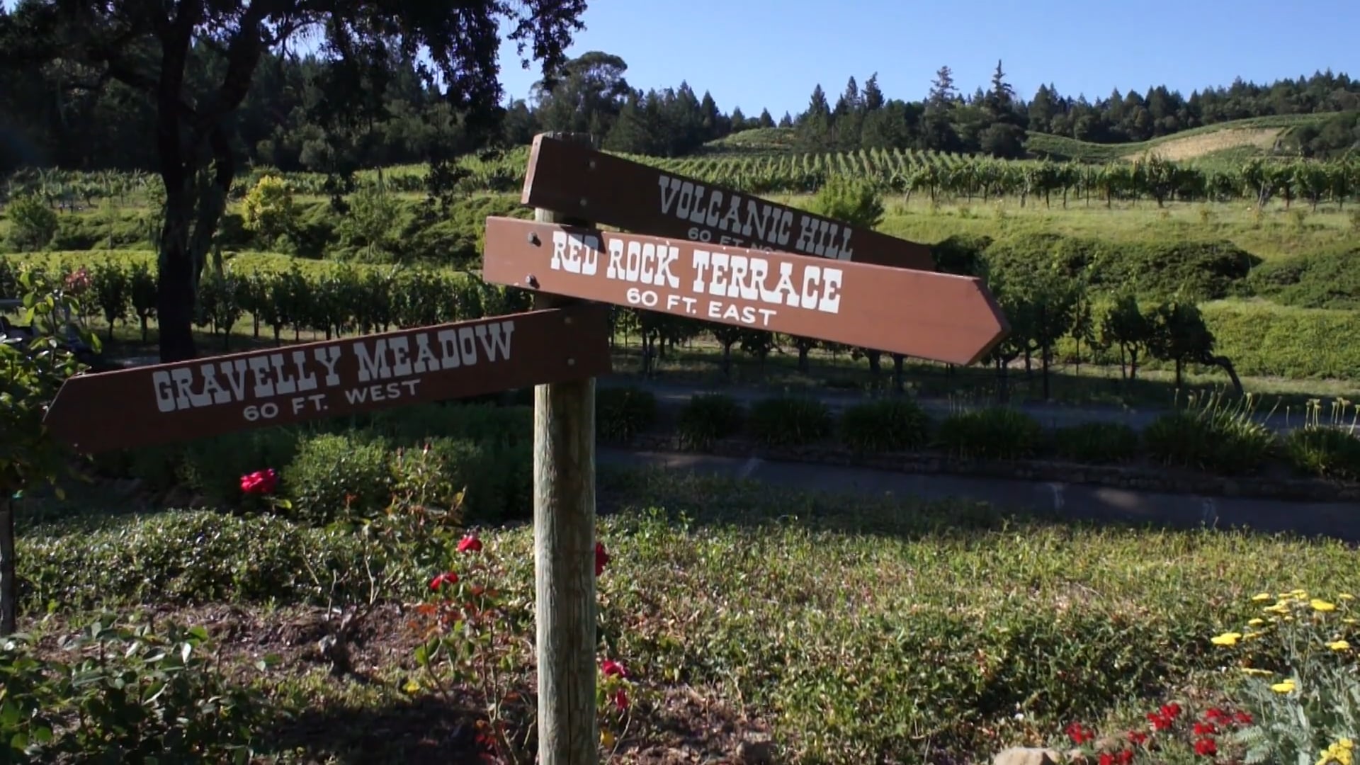Diamond Creek Vineyards