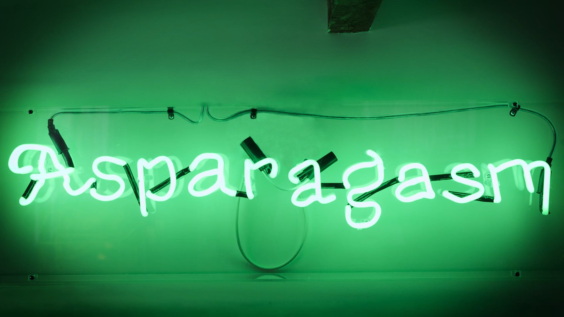 Asparagasm & Cashewbert