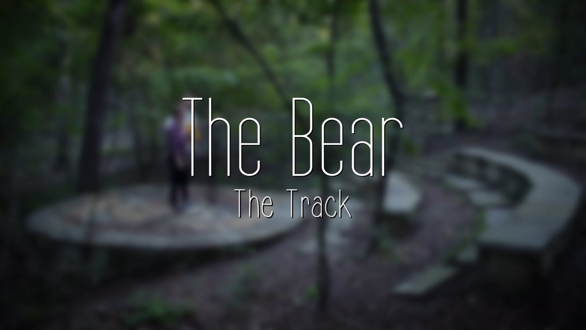 The Bear - The Track