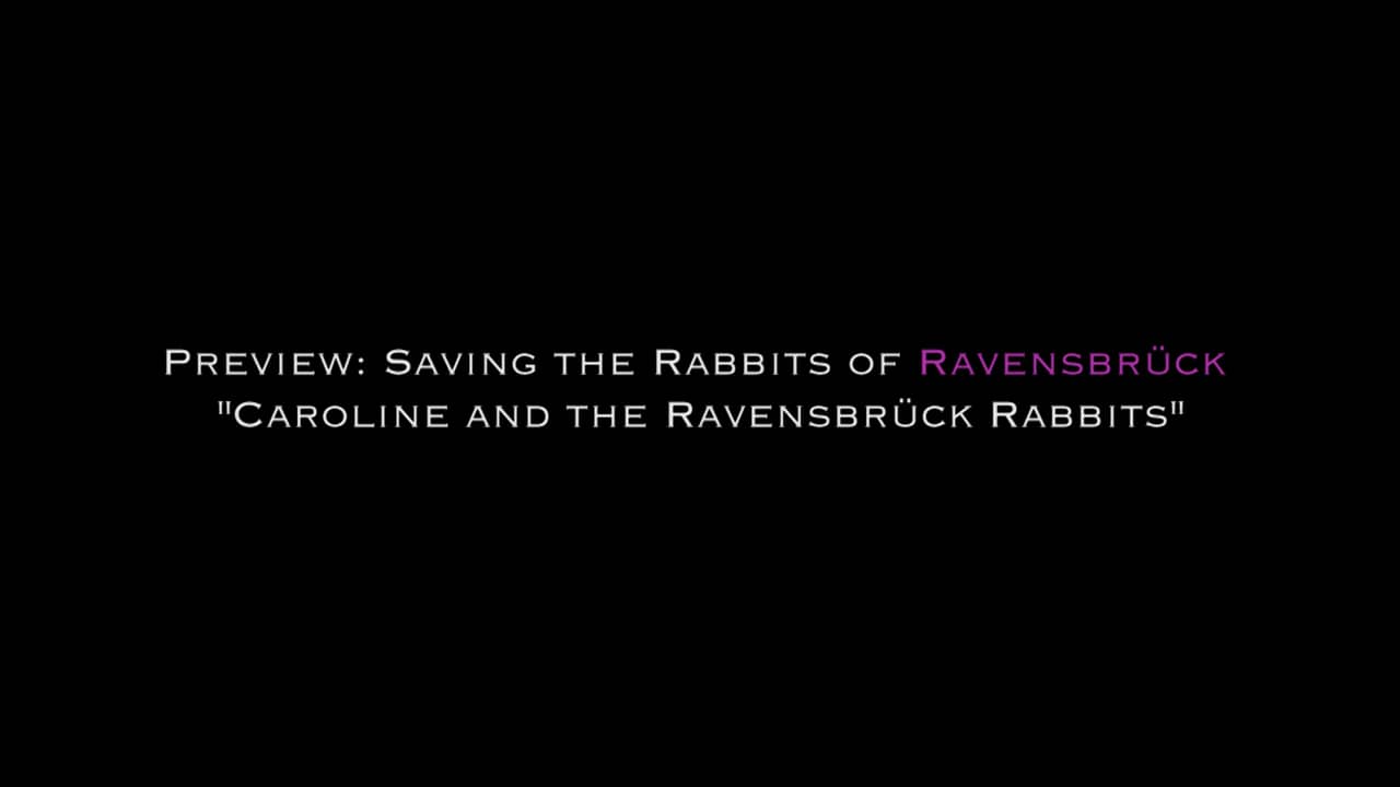 Caroline Ferriday and the Rabbits on Vimeo