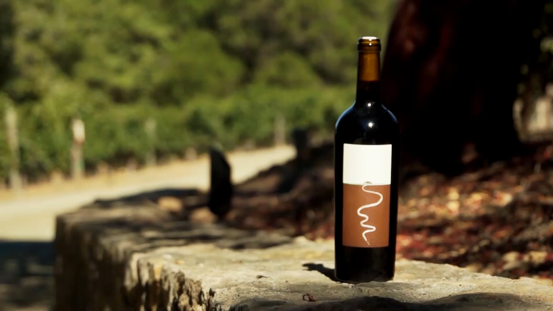 Mole Hill Cabernet Sauvignon from Lail Vineyards