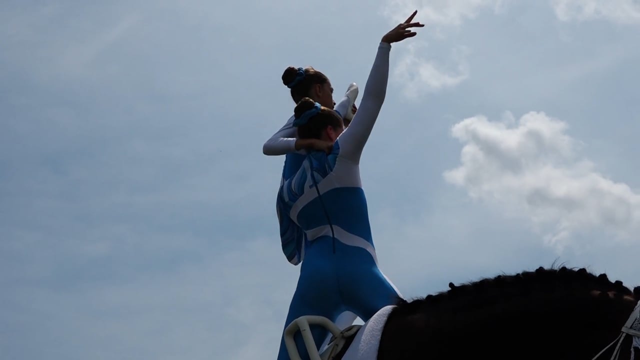 Reitverein Fellbach 2017- www.rfv-fellbach.de