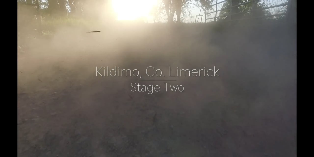 Kildimo Revisited-July 2017